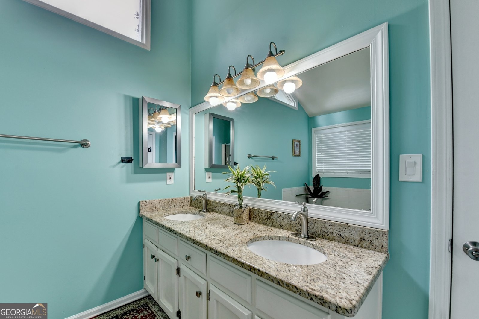 581 Black Creek Drive Lawrenceville - 18