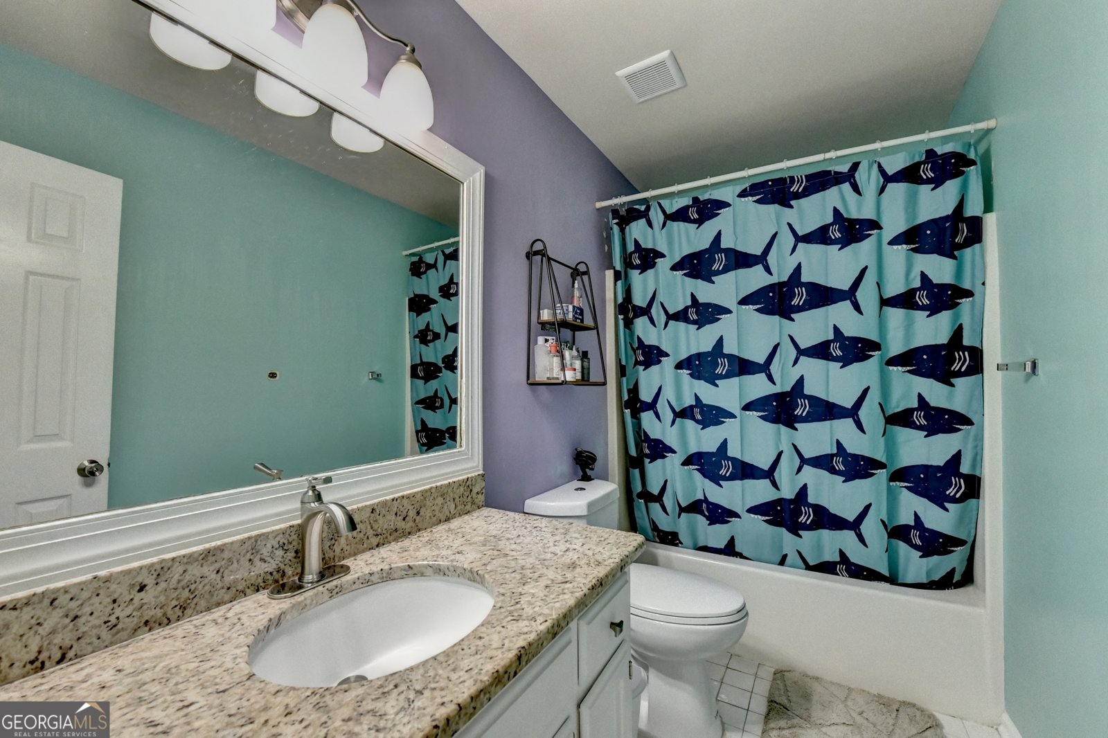581 Black Creek Drive Lawrenceville - 23
