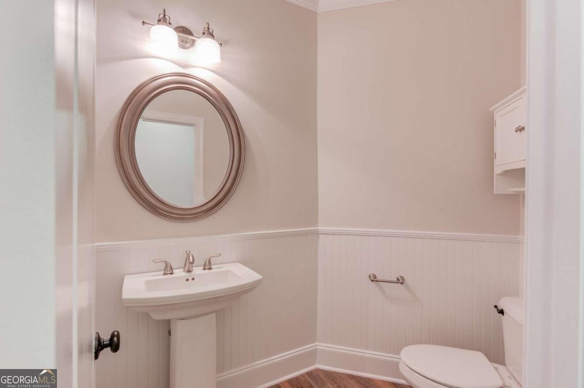 3217 Aberrone Place Buford - 33