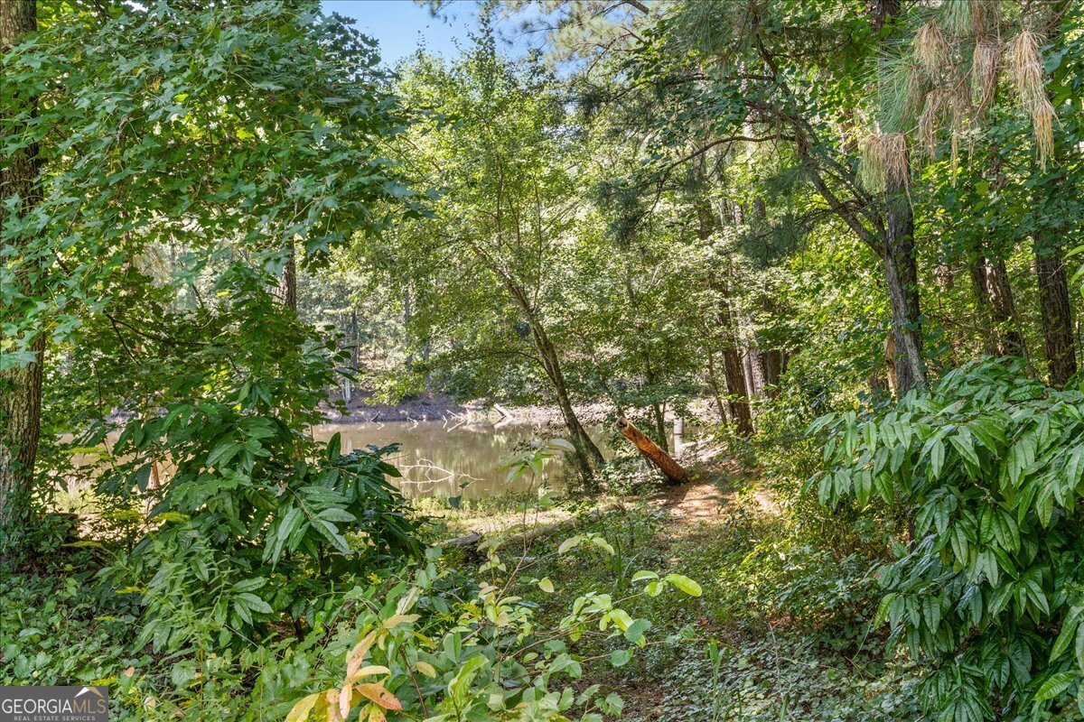 2051 Poplar Falls Avenue Lithonia - 4