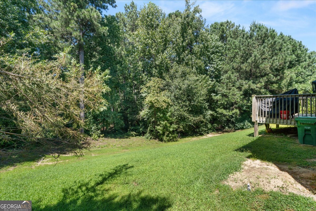2051 Poplar Falls Avenue Lithonia - 41