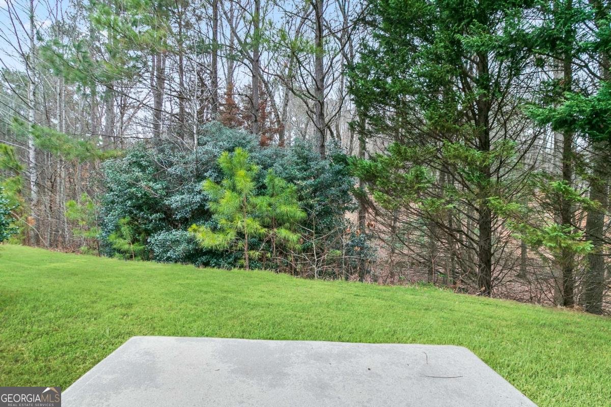 184 DARBYS CROSSING Court Hiram - 15