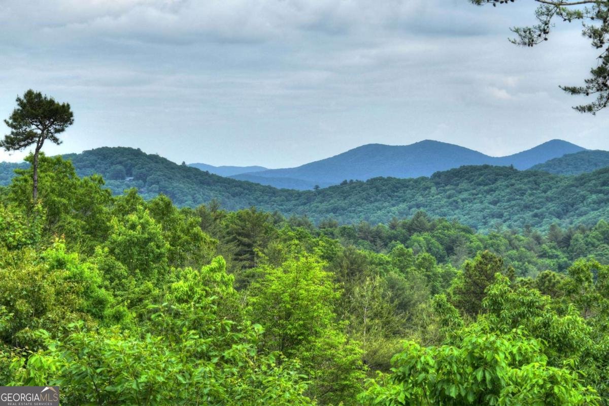 436 Geronimo Road Blue Ridge - 27