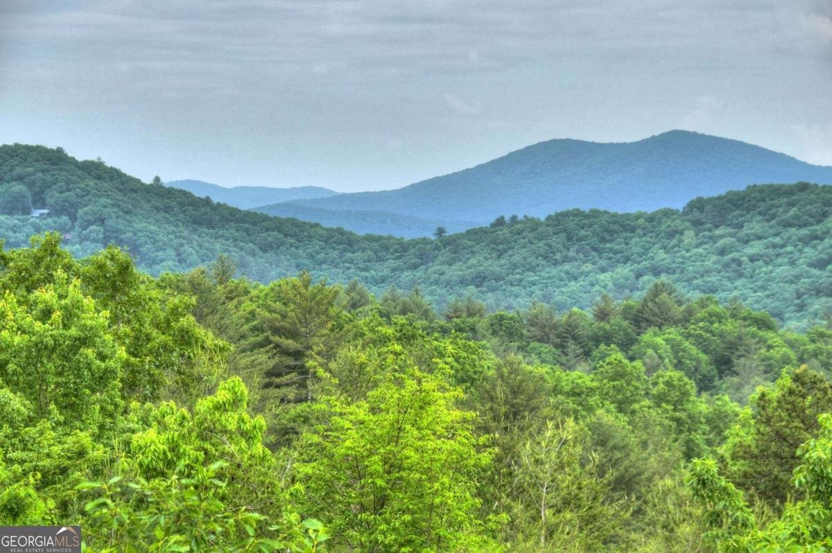 436 Geronimo Road Blue Ridge - 28
