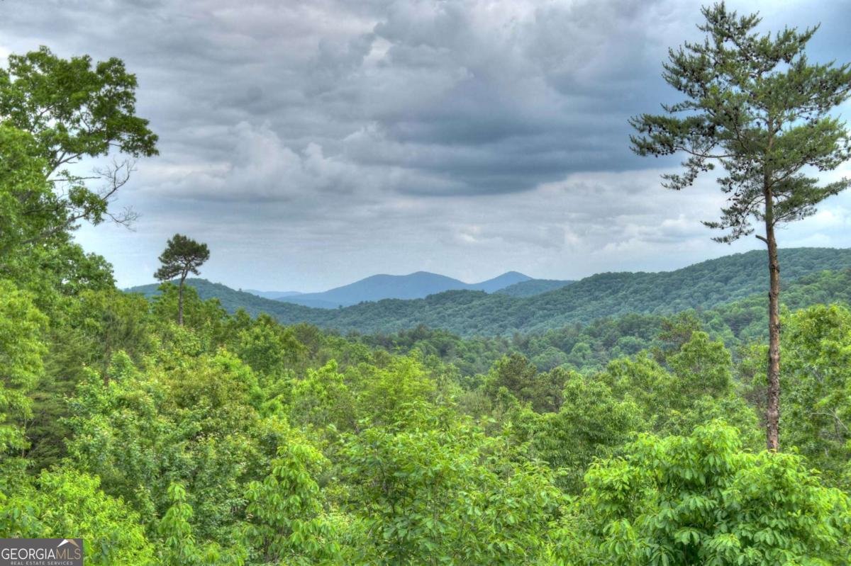 436 Geronimo Road Blue Ridge - 5