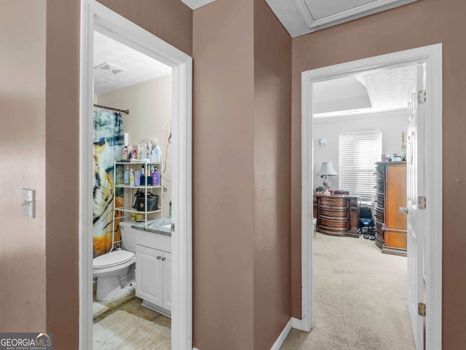 191 Old Stonewall Drive Locust Grove - 17