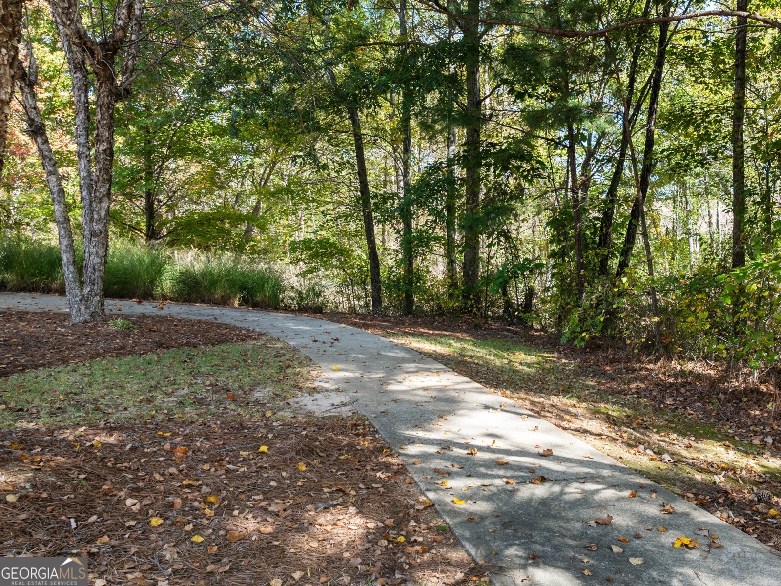 99 Parkview Drive Dallas - 27