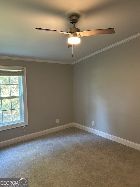 48 Taylors Grove Lane Lexington - 37