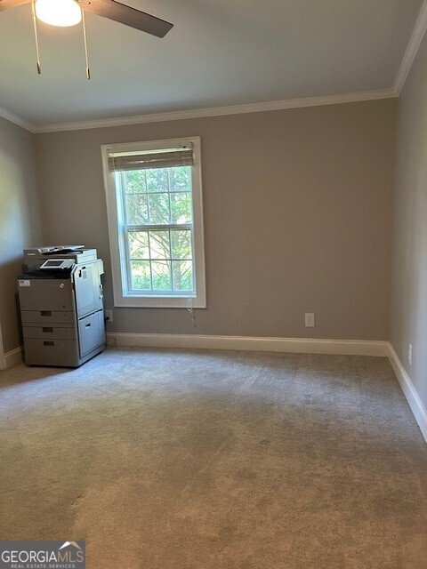 48 Taylors Grove Lane Lexington - 38