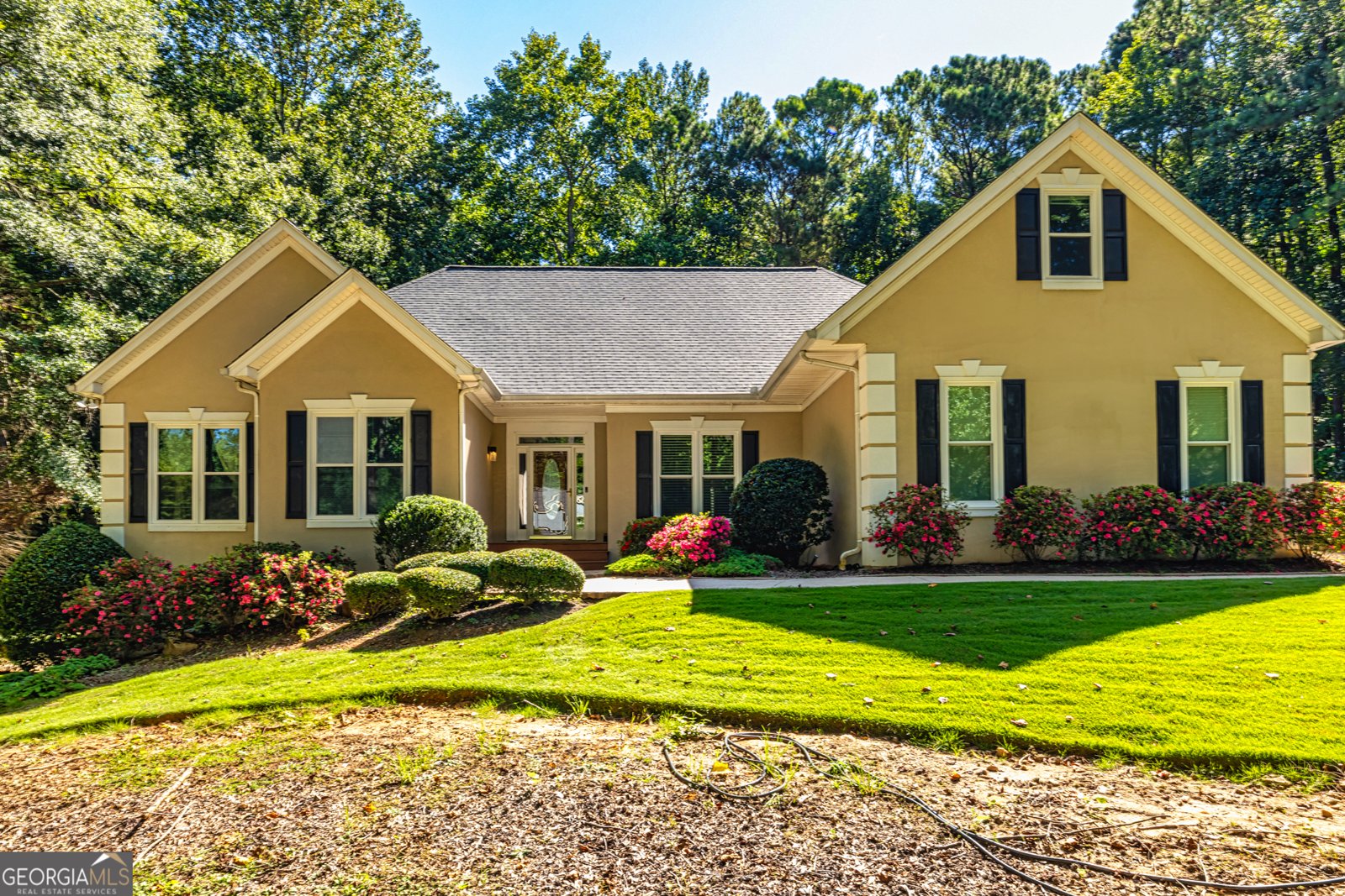 217 Windermere Circle Newnan - 1