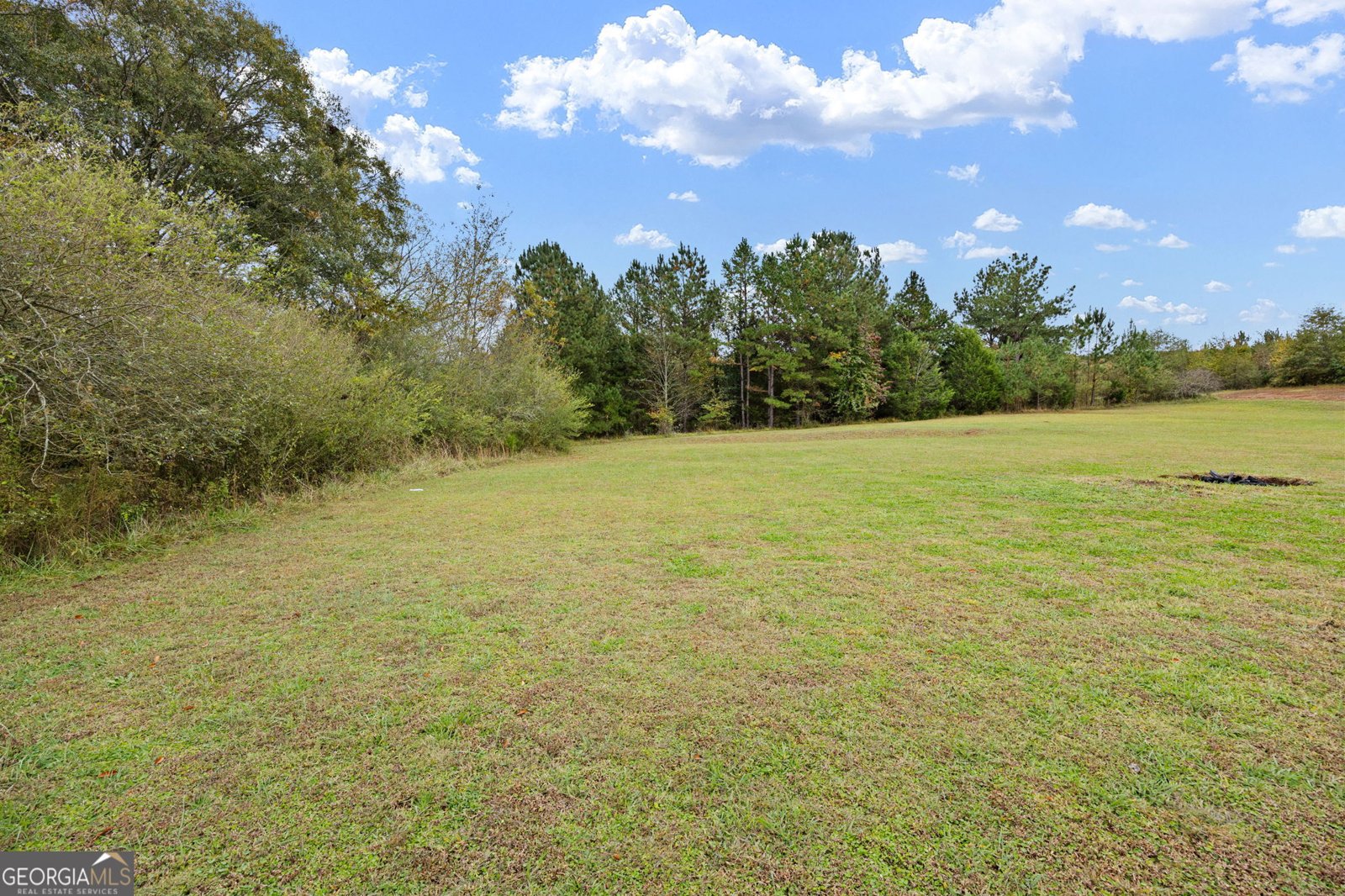 7 Herschel Mize Drive Cave Spring - 54