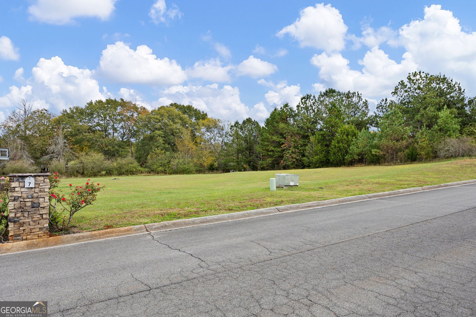 7 Herschel Mize Drive Cave Spring - 57