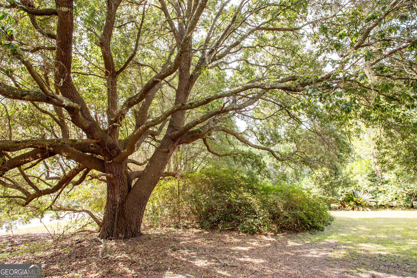 5239 County Farm Road Blackshear - 5