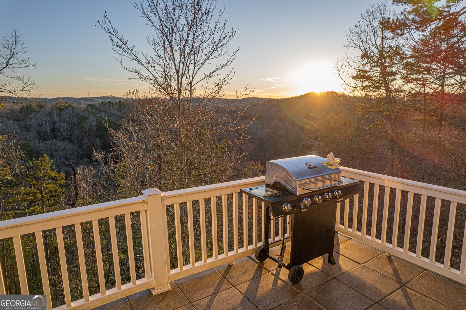 626 Palisade Drive Ellijay - 35