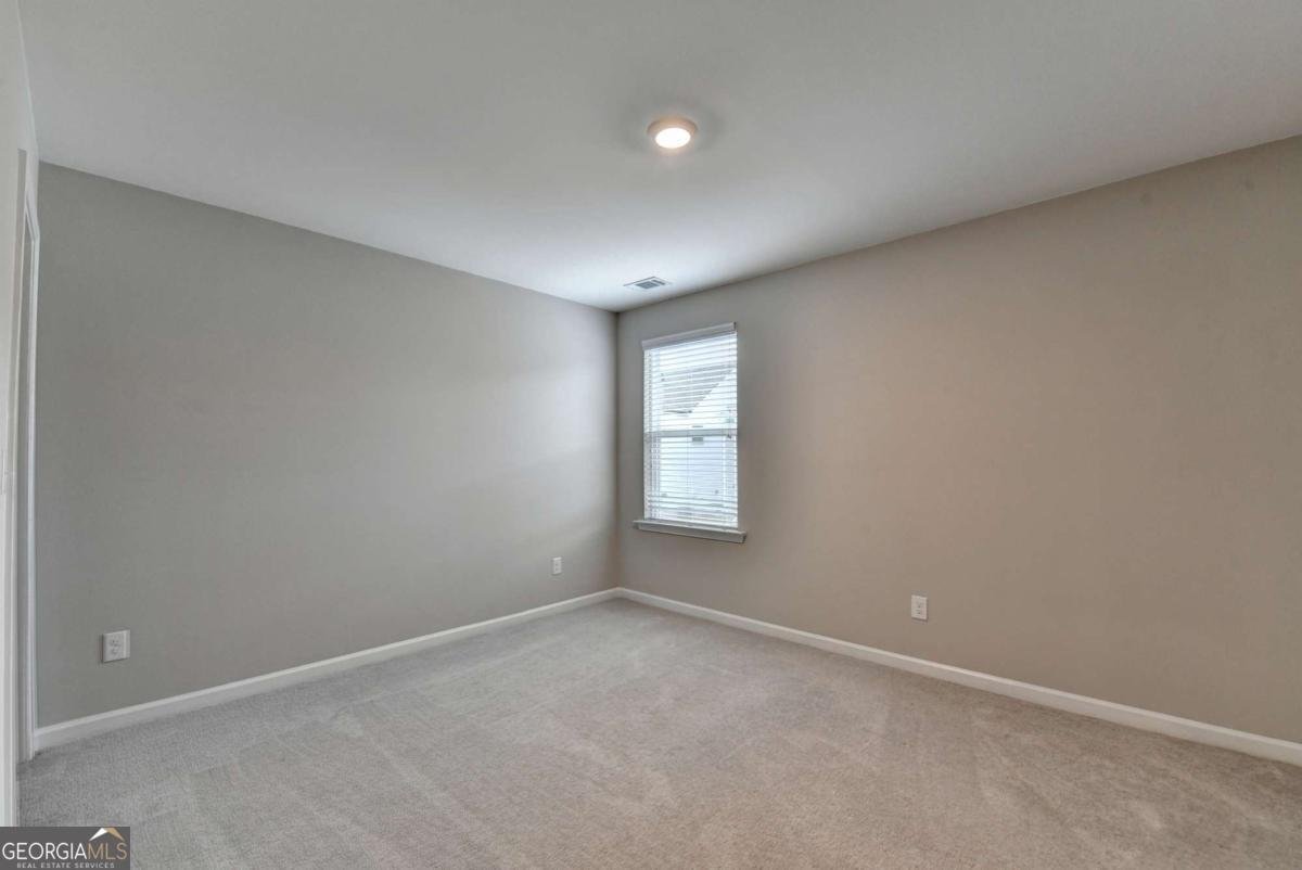 4335 Magpie Drive Hoschton - 22