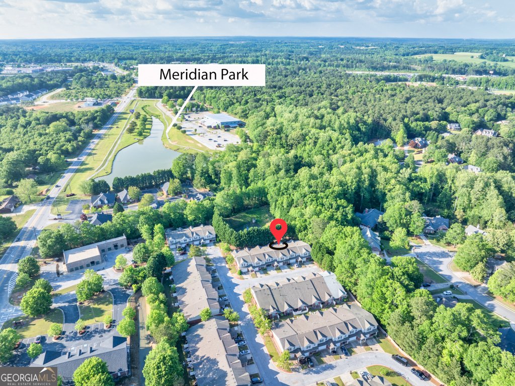 233 Tara Commons Walk Loganville - 49