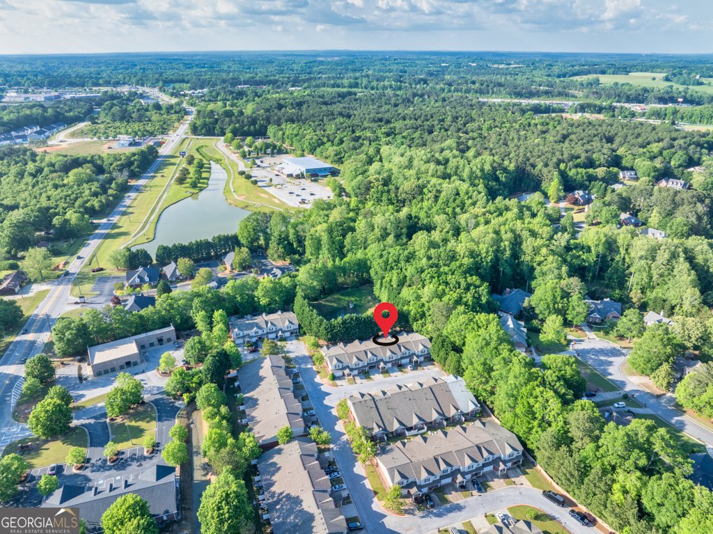233 Tara Commons Walk Loganville - 50