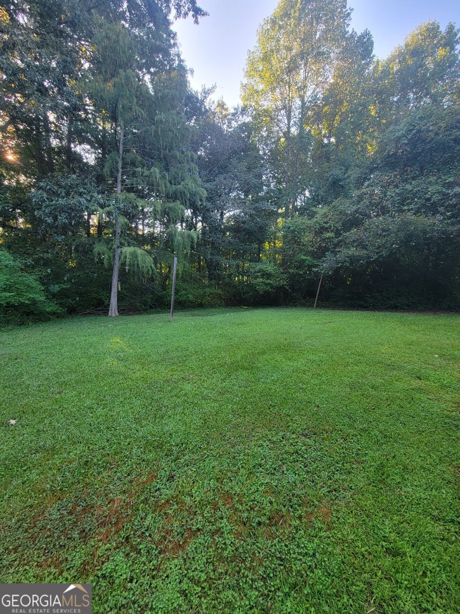8170 Autumn Green Drive Fairburn - 16