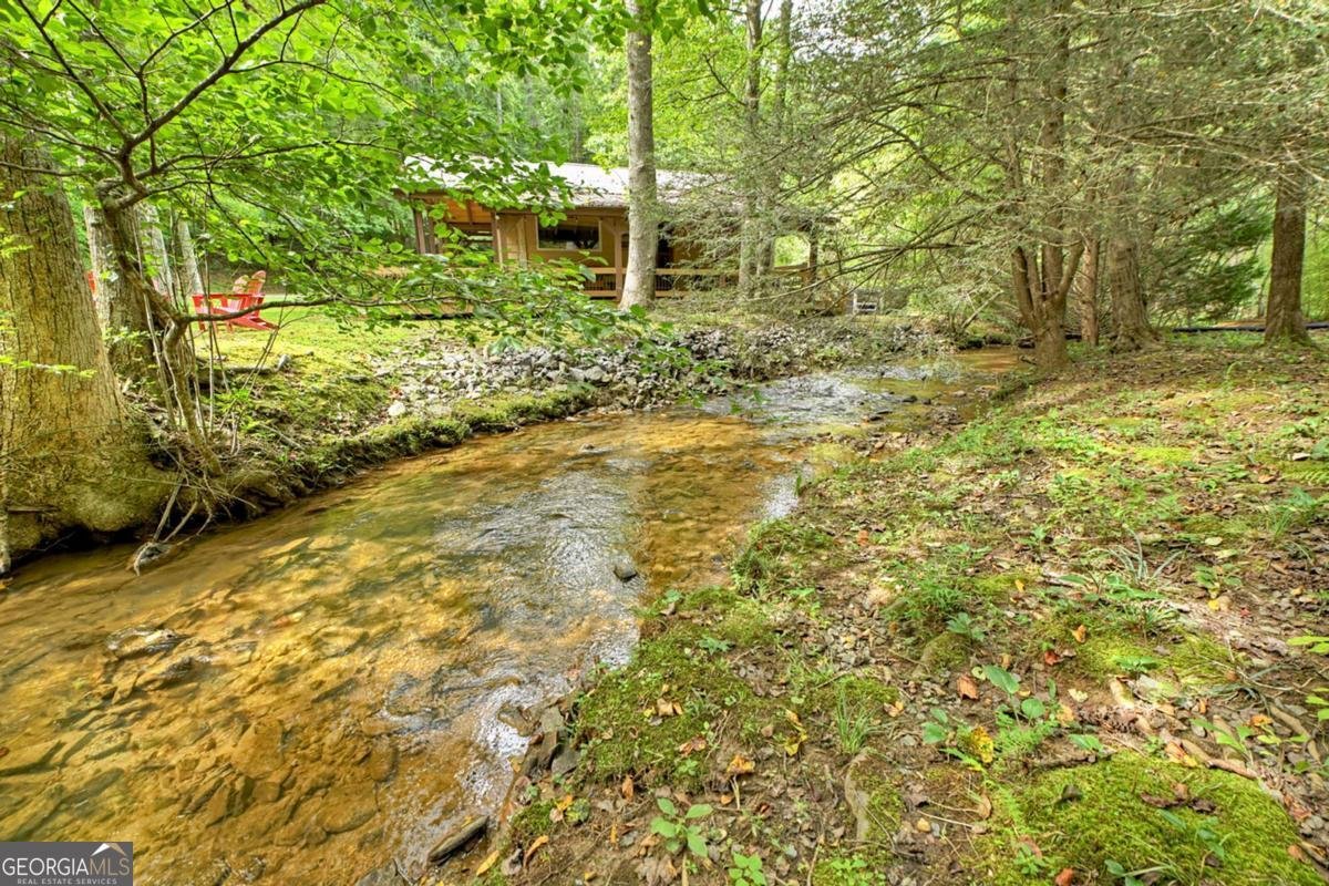 407 Tanglewood Drive Blue Ridge - 1