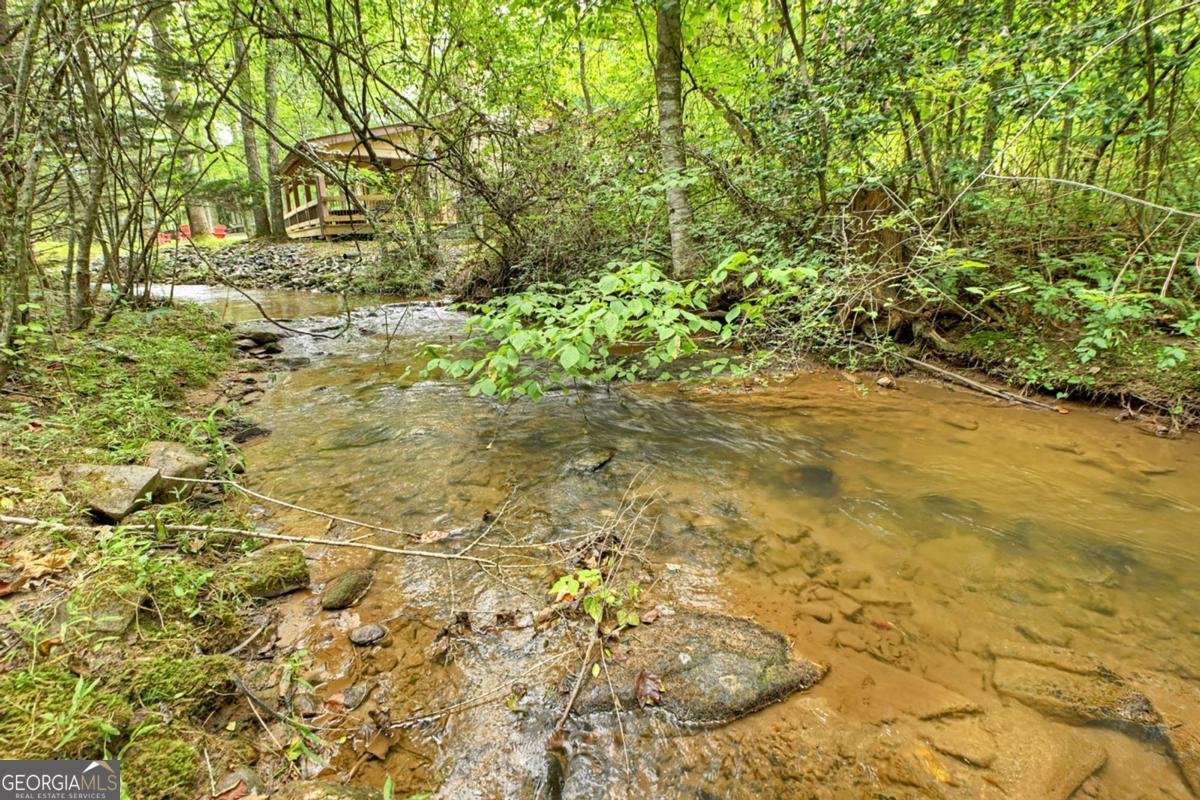 407 Tanglewood Drive Blue Ridge - 31