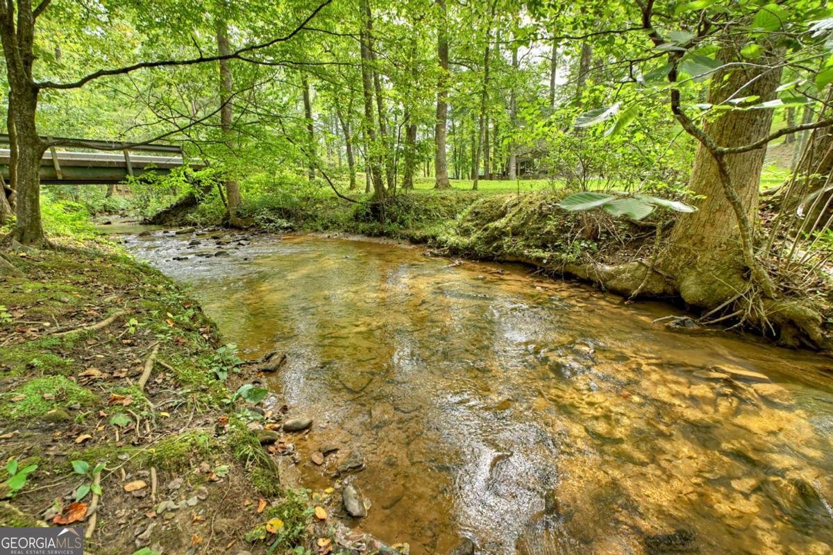 407 Tanglewood Drive Blue Ridge - 32