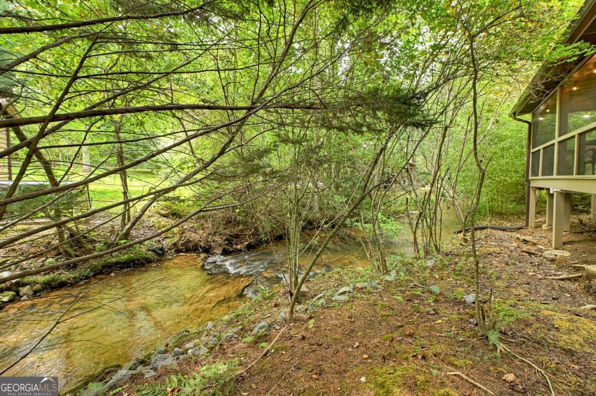407 Tanglewood Drive Blue Ridge - 38