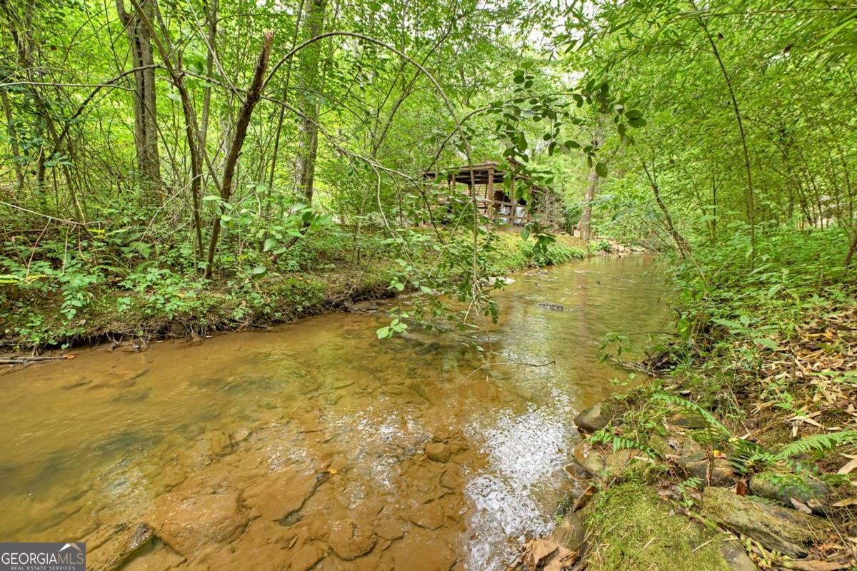 407 Tanglewood Drive Blue Ridge - 5