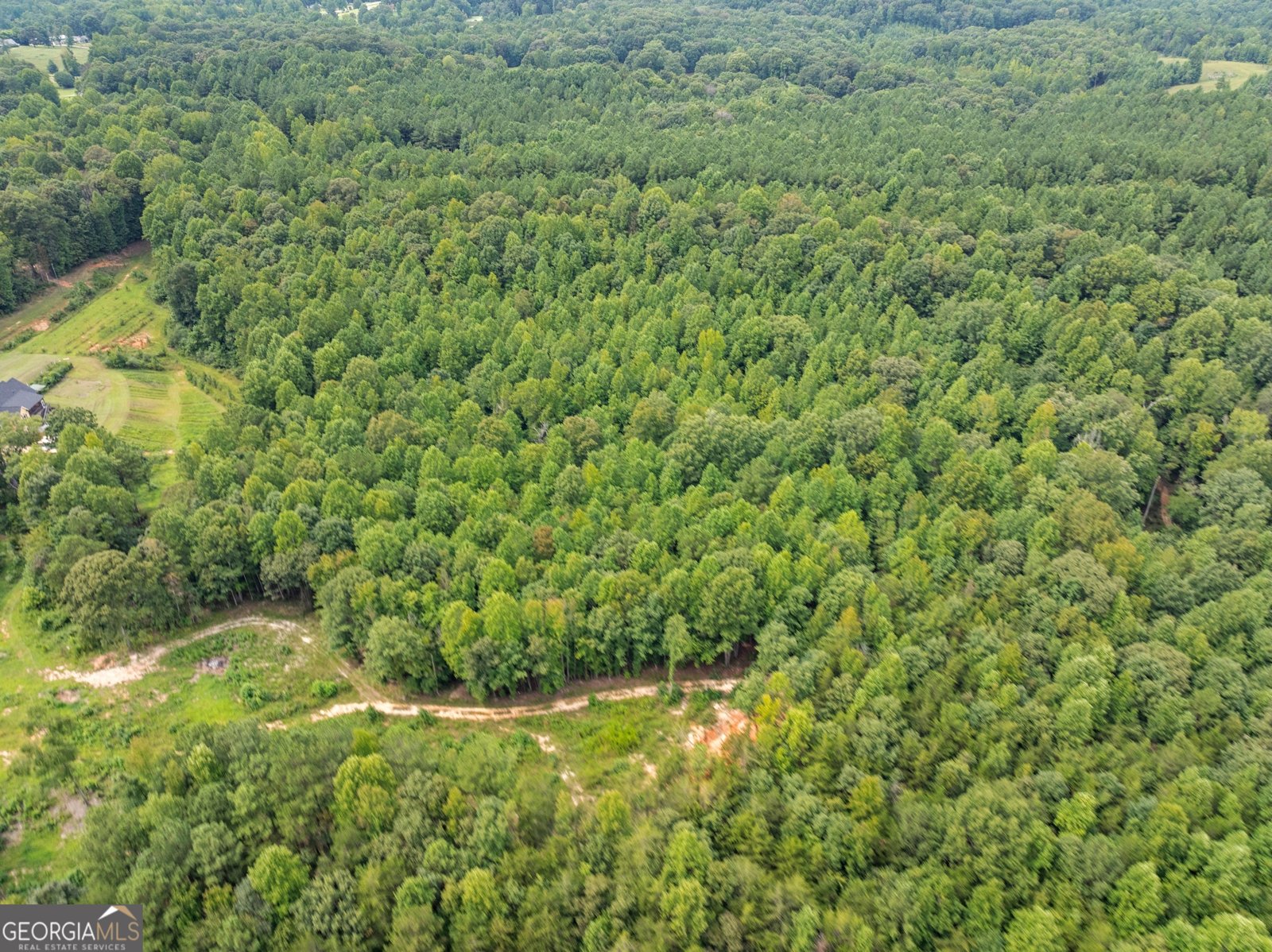 7123 County Line Road Lula - 39