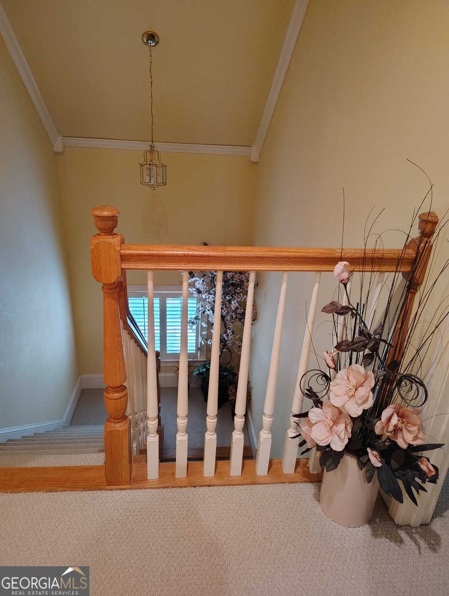 20 Mockingbird Lane Oxford - 29