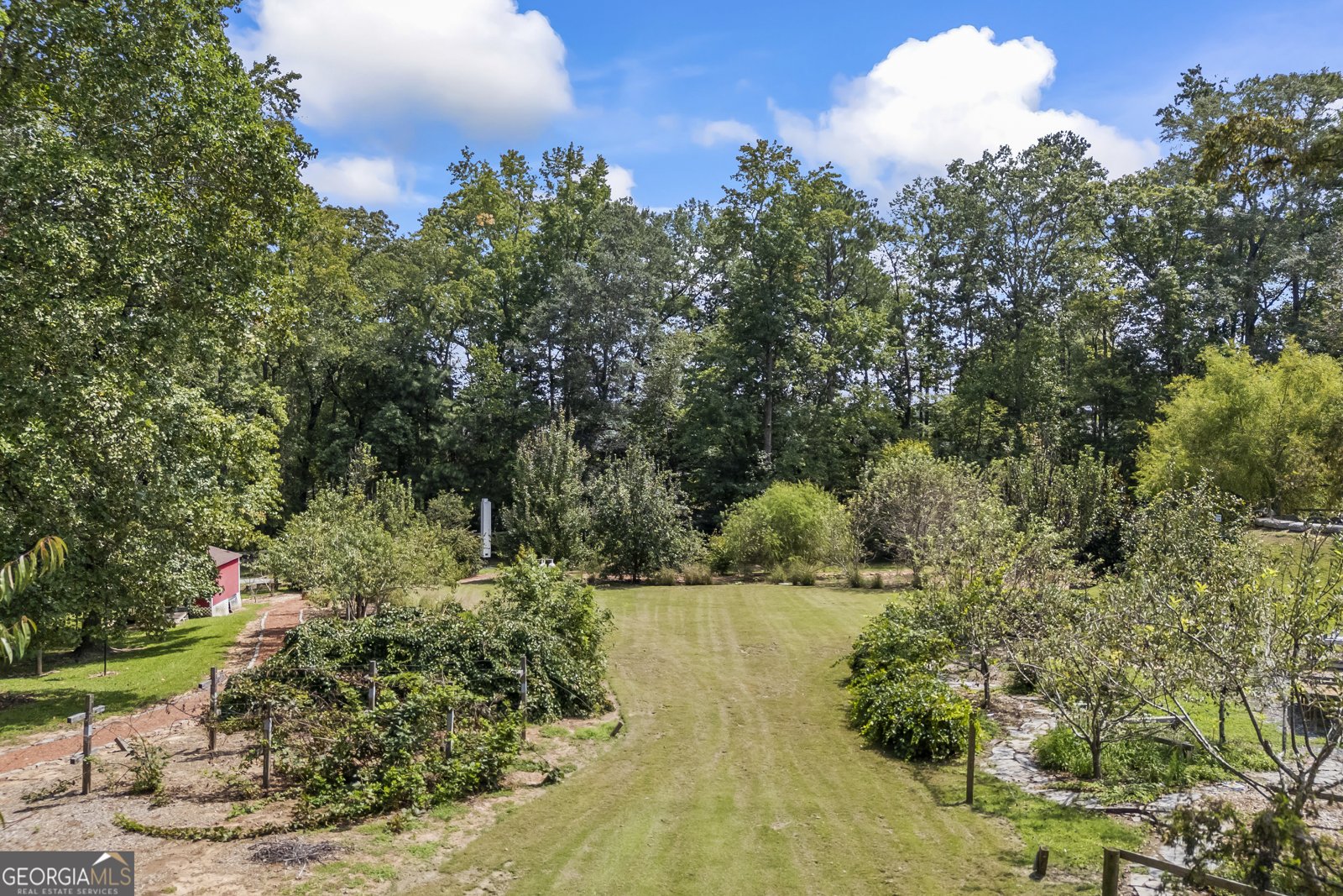 3900 White Street Suwanee - 60