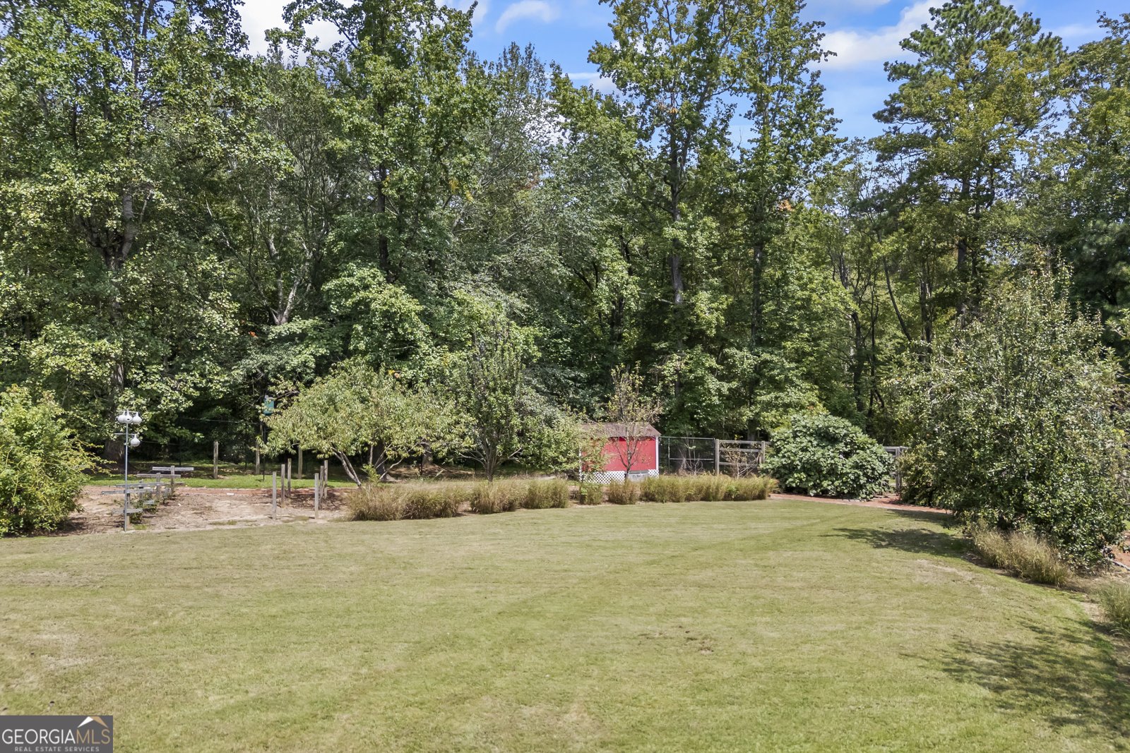 3900 White Street Suwanee - 62