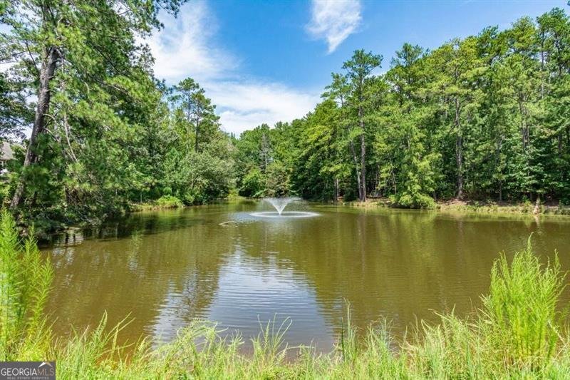 809 Palmetto Moon Road Marietta - 7