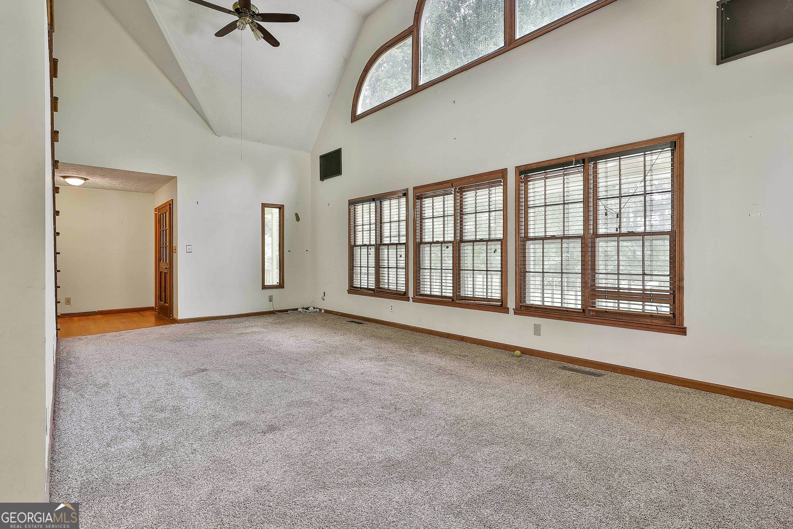 161 Ellison Road Tyrone - 17