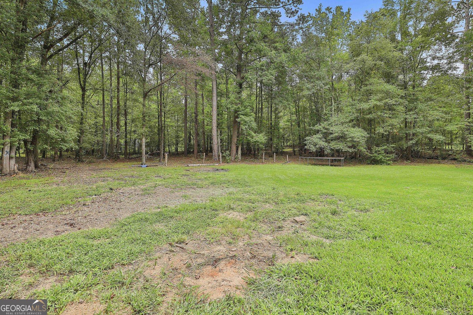 161 Ellison Road Tyrone - 4