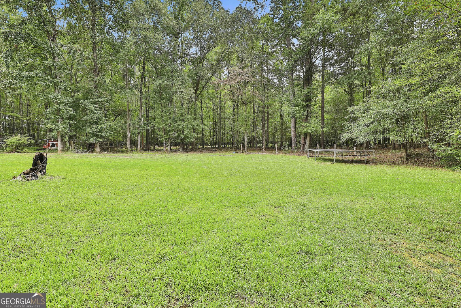 161 Ellison Road Tyrone - 7