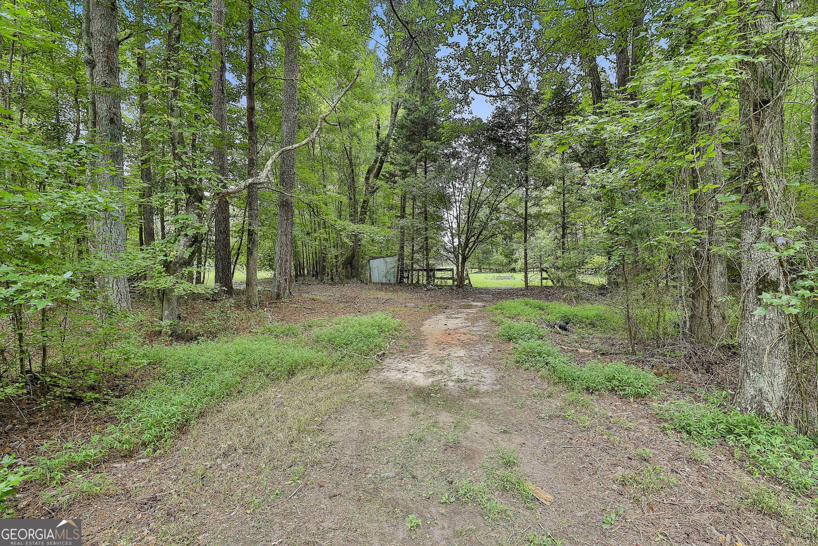 161 Ellison Road Tyrone - 9