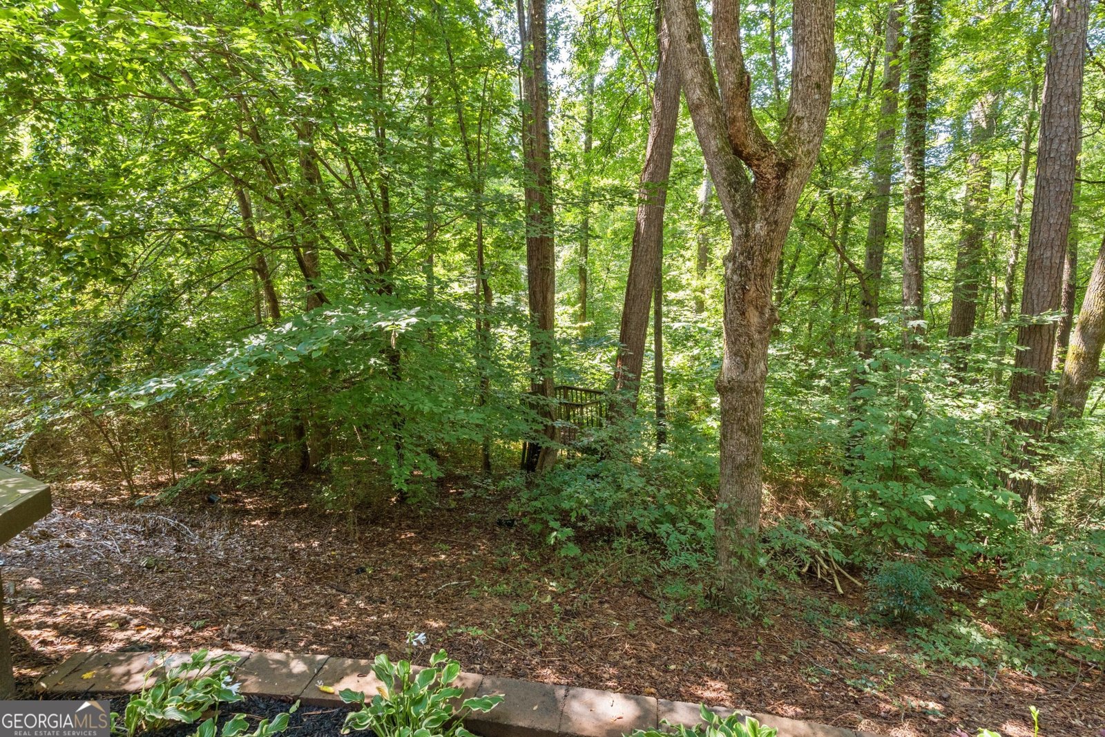 4140 River Bluff Run Way Suwanee - 13