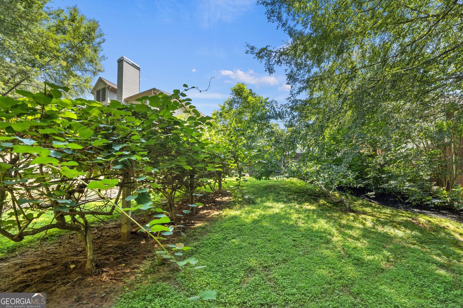 4140 River Bluff Run Way Suwanee - 16