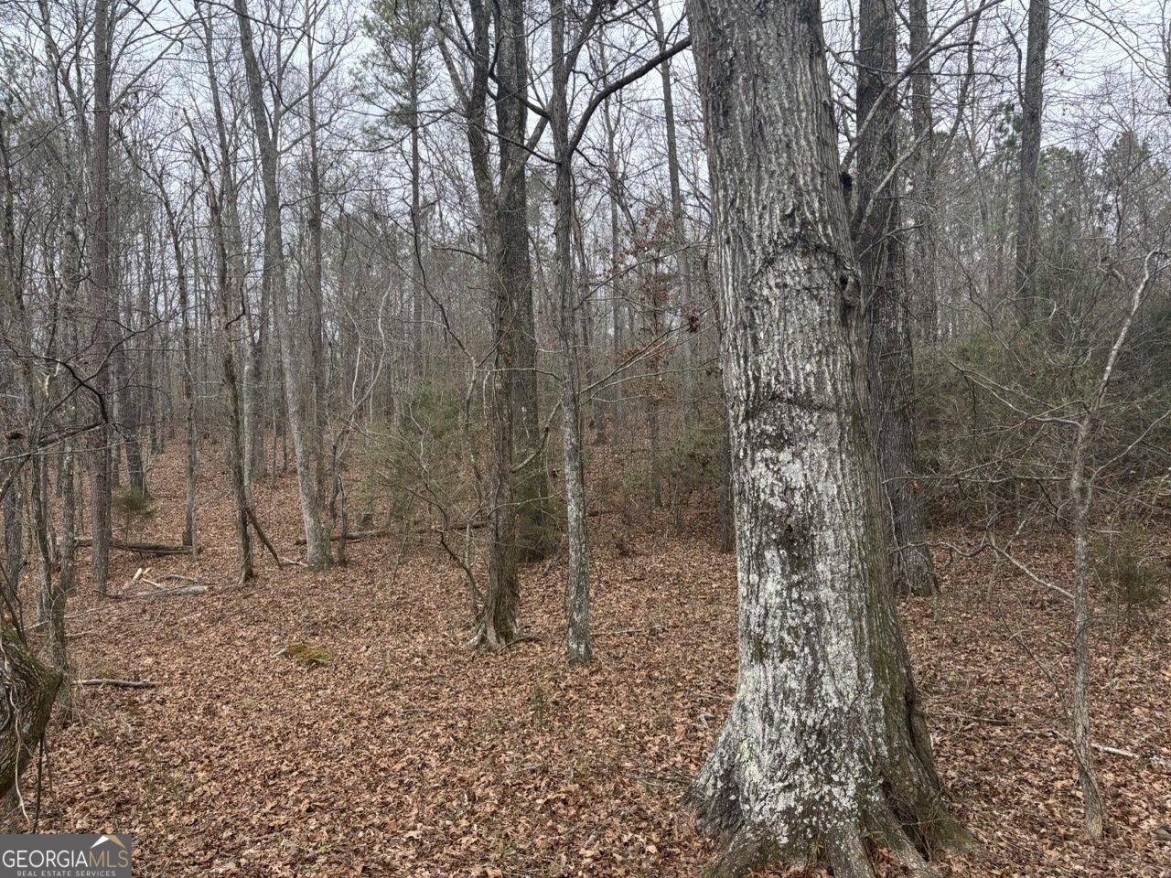 850 Bethel Church Road Silver Creek - Photo 100