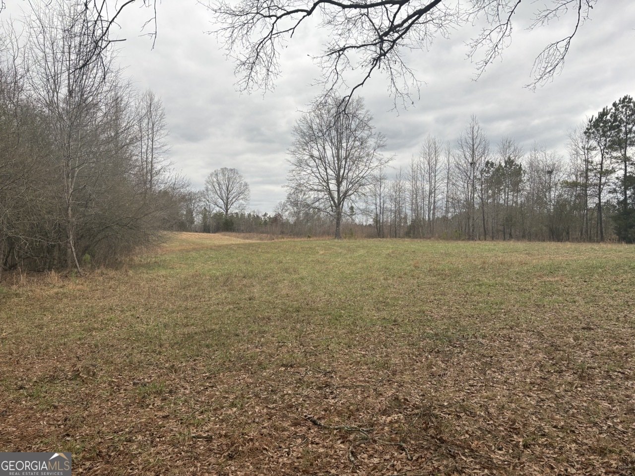 850 Bethel Church Road Silver Creek - Photo 101