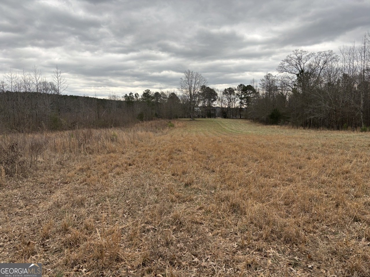 850 Bethel Church Road Silver Creek - Photo 102