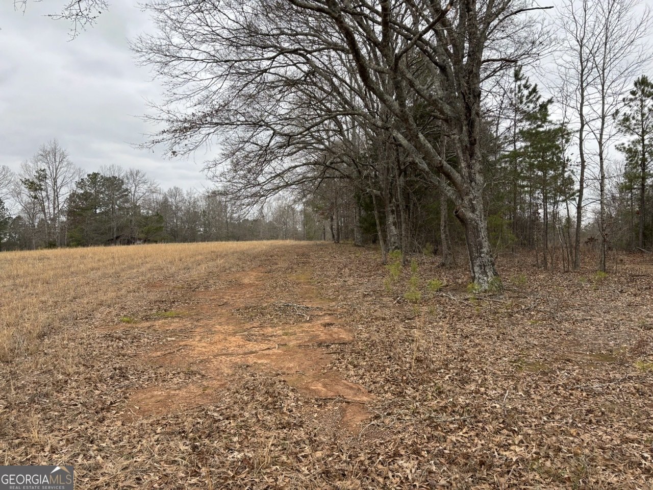 850 Bethel Church Road Silver Creek - Photo 103