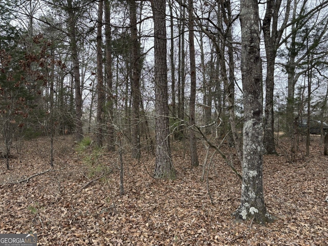 850 Bethel Church Road Silver Creek - Photo 104