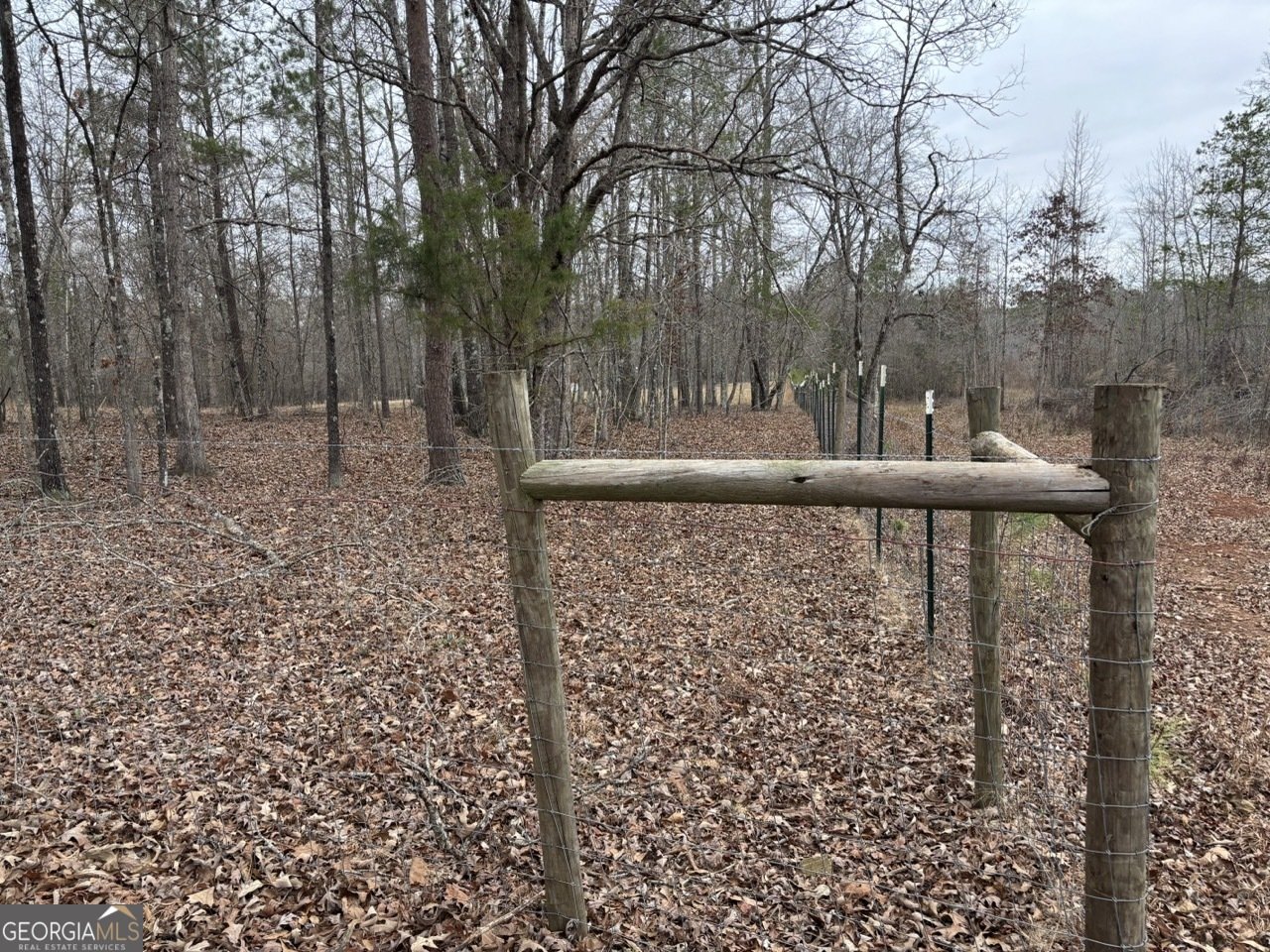 850 Bethel Church Road Silver Creek - Photo 111