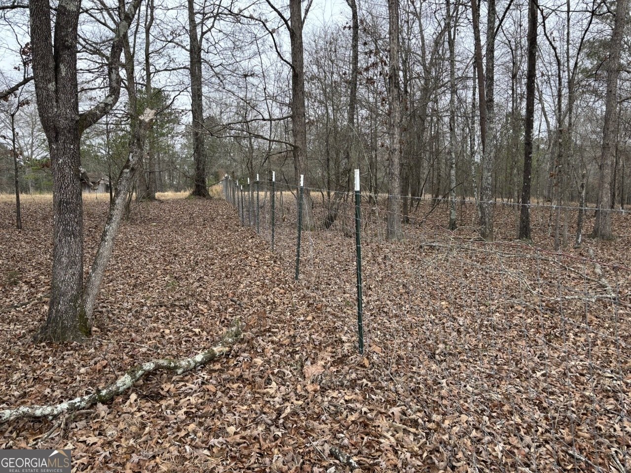 850 Bethel Church Road Silver Creek - Photo 112