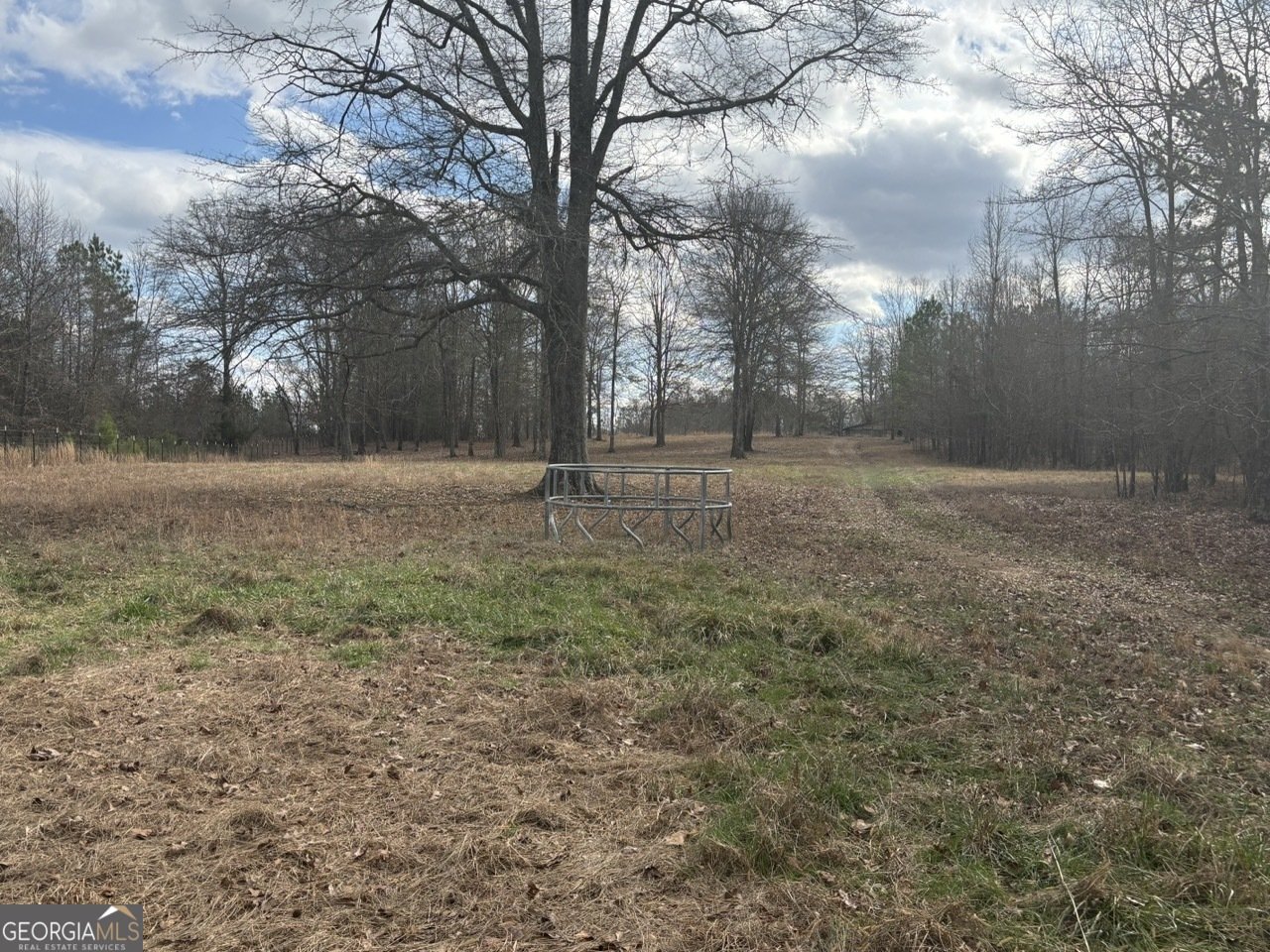 850 Bethel Church Road Silver Creek - Photo 55