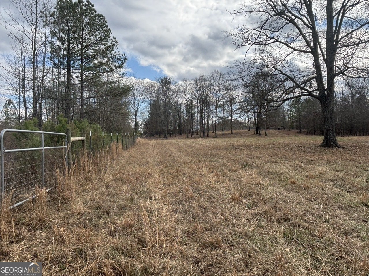 850 Bethel Church Road Silver Creek - Photo 57