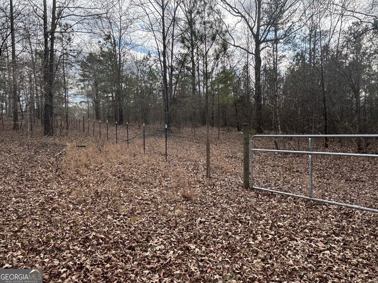 850 Bethel Church Road Silver Creek - Photo 60