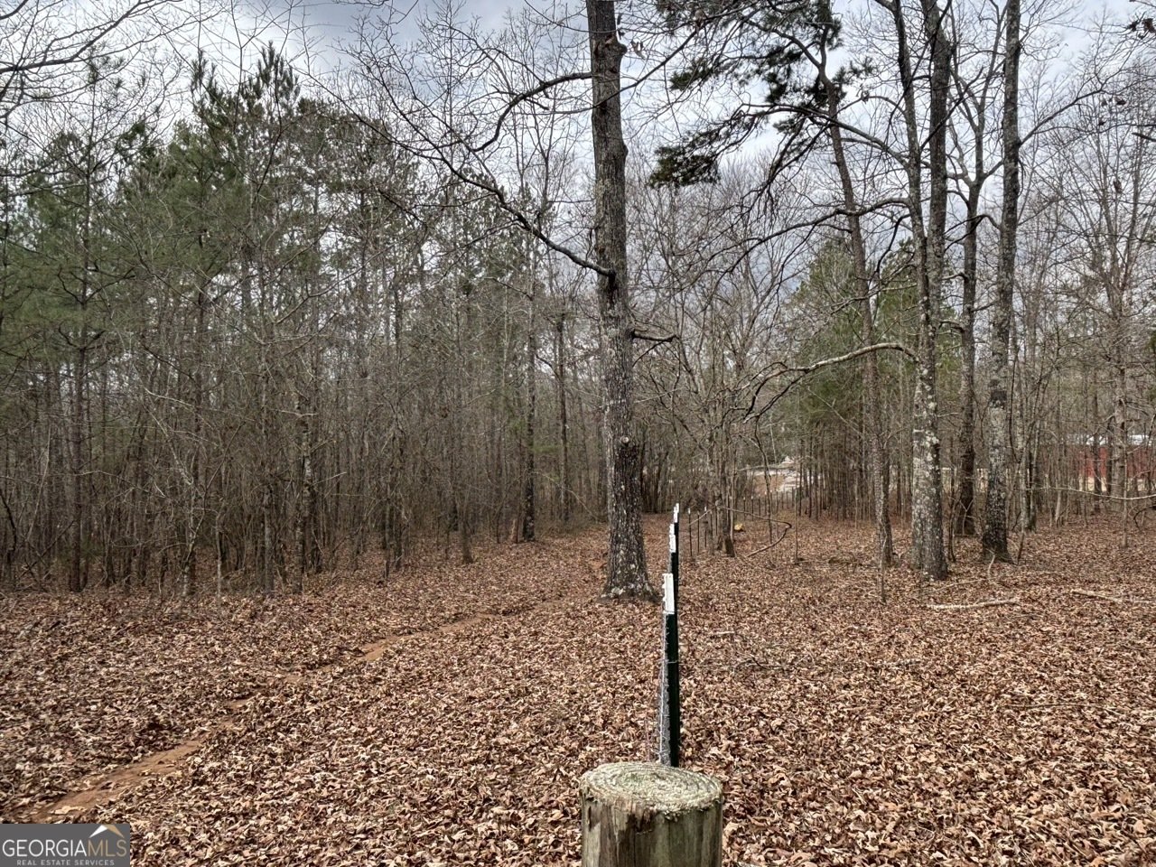 850 Bethel Church Road Silver Creek - Photo 61