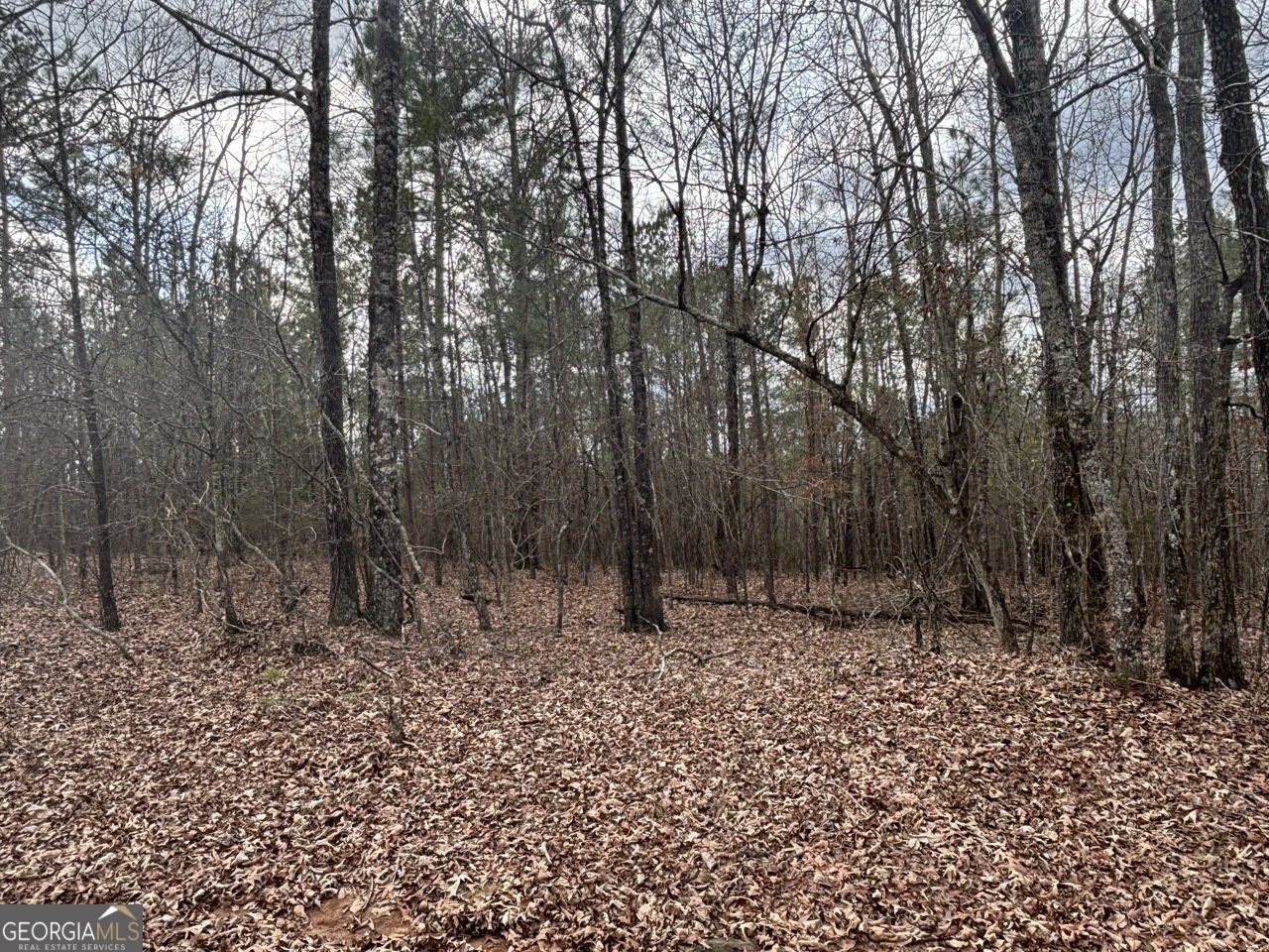 850 Bethel Church Road Silver Creek - Photo 62